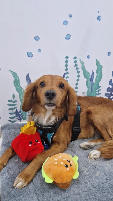 Regalos de niños a Max